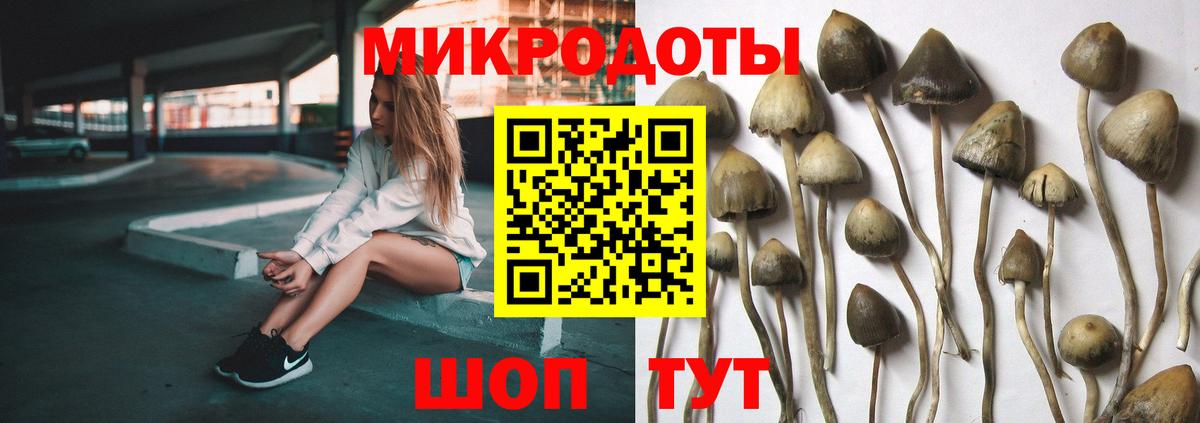 даркнет сайт  Галлюциногенные грибы GOLDEN TEACHER  Псилоцибиновые грибы мухоморы  Вход с VPN  Кимры 